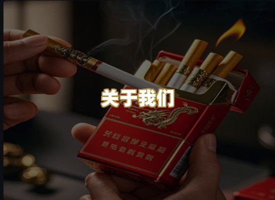 关于我们